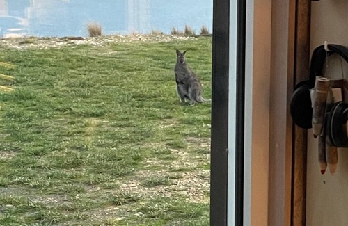 Sorell Council Apartment | The Studio - Seclusion by the water with your own private beach.