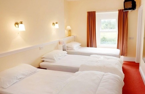 Llanwrtyd Wells House | The Trout Cafe