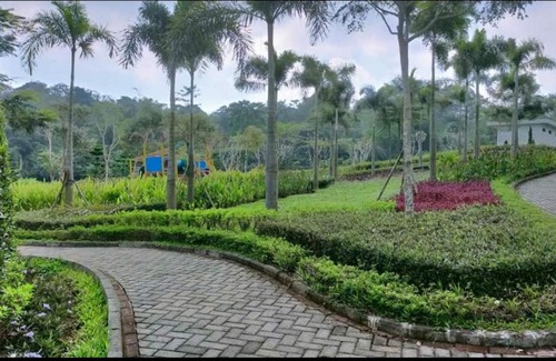 Malang House | The Valley Guesthouse