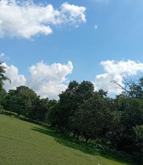 Madhubani House | The Vedic Grove