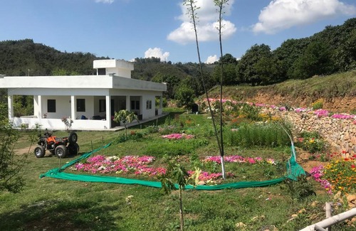 Nurpur House | The Wild Wild