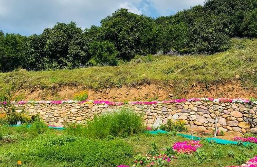 Nurpur House | The Wild Wild