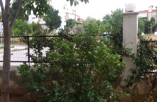 Pefka House | Thesshouse Fani &Kostas garden and free parking