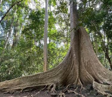 Quan Tom Cabin | Thuy Tien Ecolodge