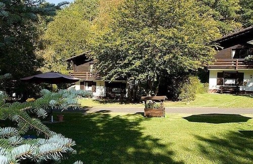 Schoenecken Ski Chalet | Tidy chalet with fireplace, located in wooded area