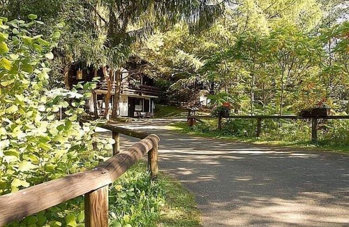 Schoenecken Ski Chalet | Tidy chalet with fireplace, located in wooded area