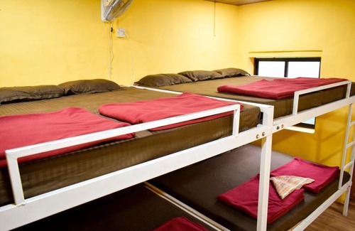 Supa House | Tiger Homestay