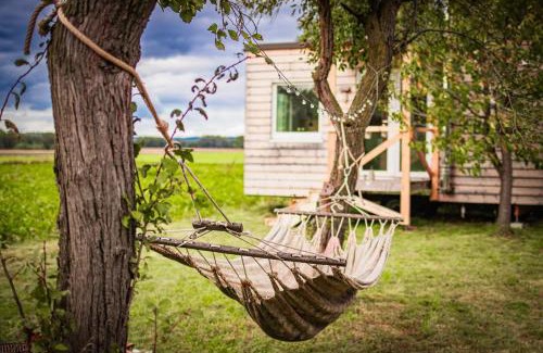 Kirchberg am Wagram Apartment | Time out in a tiny house