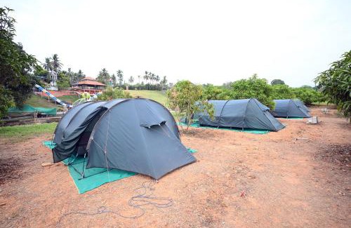 Mandarthi Resort | Tinton Adventure Resort