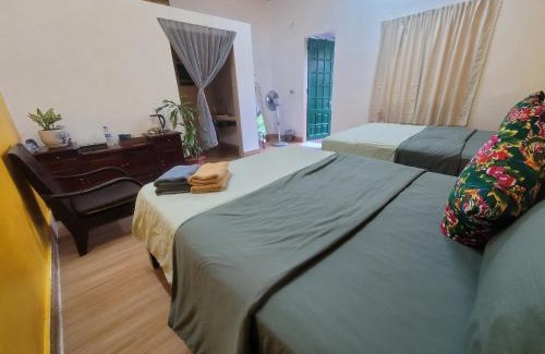 Cat Hai House | Tiny Garden House Cat Ba