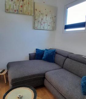 Arbshagen Other | Tiny Haus C235 Wacholderdrossel