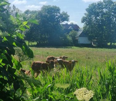 Delve House | Tiny Haus ca 1 Std von Hamburg entfernt