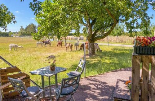 Rubkow House | Tiny House auf der Alpaka Farm