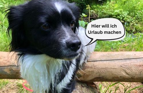 Tanna House | Tiny House - Auszeit im Wald am Badesee