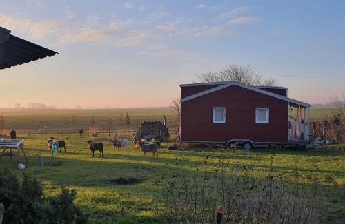 Schoenbeck House | Tiny House