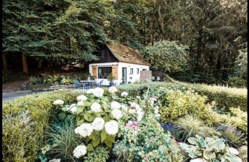 Oberdorla House | Tiny House mit eigener Sauna am Waldrand in der Fränkischen Schweiz