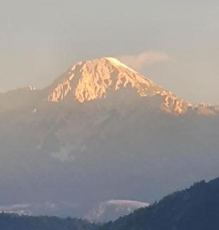 Verditz House | Tiny House mit Fernblick