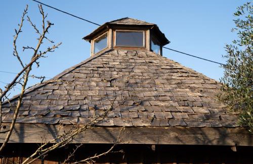 Monserrate Resort | Tinyhouse Hexagonal in Organic Farm