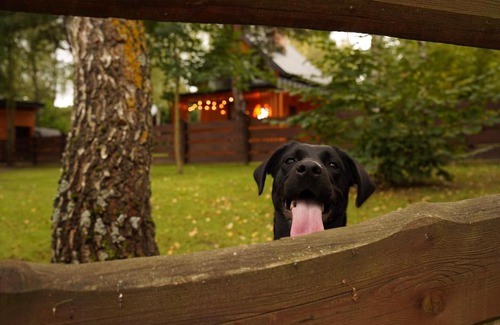 Rakow House | TO TU Chańcza Duży Domek