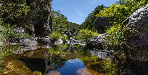 Pardieiros House | Toca da Sede
