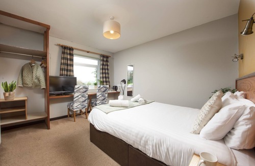 Redruth Hotel | Tolgus Dog Friendly King - 4 - a hotel room that sleeps 2 guests in 1 bedroom