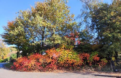Dorenthe Apartment | tolle Ferienwohnung an den Dörenther Klippen