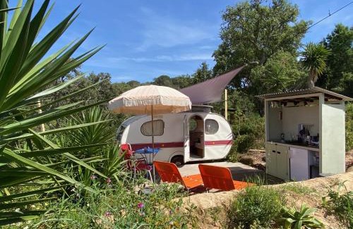 Sao Luis Other | Três figos Caravan