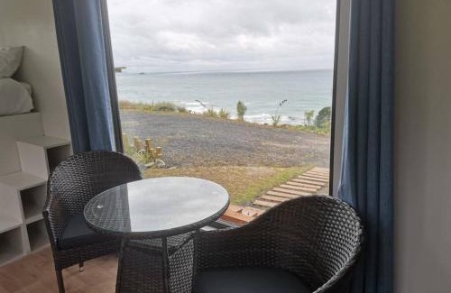 Dunedin House | Trailer home with stunning view