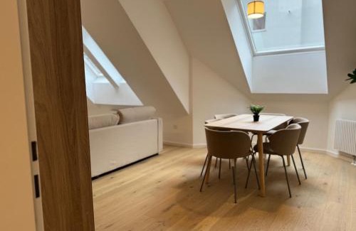 Dobling Apartment | train station, Kahlenberg, historic, danube - Axara Housing FHG 20