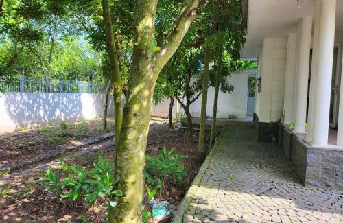 Khoai Chau Villa | Tranquil Retreat Lux Villa in HungYen Countryside