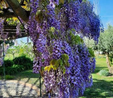 Montemor-o-Novo House | Tranquilidade Alentejana