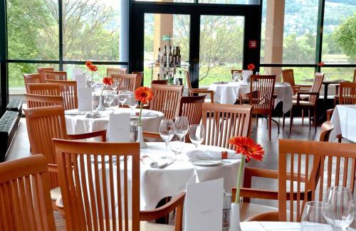 Linz Hotel | Trans World Hotel Donauwelle