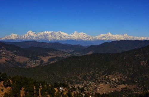 Almora House | Traveller Hive Kasar Devi