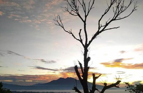 Sekincau Other | Tree House