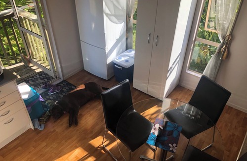 Pakaraka Cottage | Tree top cottage树上小木屋Bay of islands, Paihia