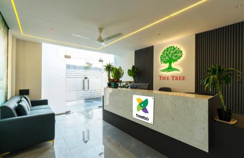 Phase 3 Hotel | Treebo The Tree, Hinjewadi