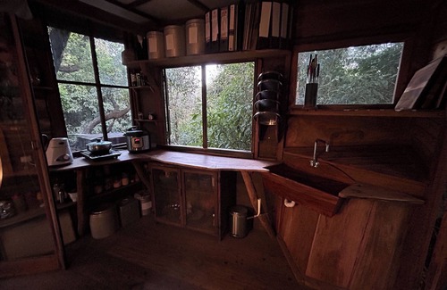 Sakleshpur Cabin | Treedom Treehouse Eco-Restoration getaway in the Jungles of South India