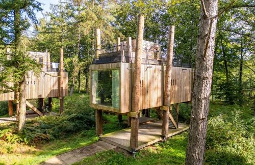Maubray House | Treehouse near Tournai with Sauna Retreat
