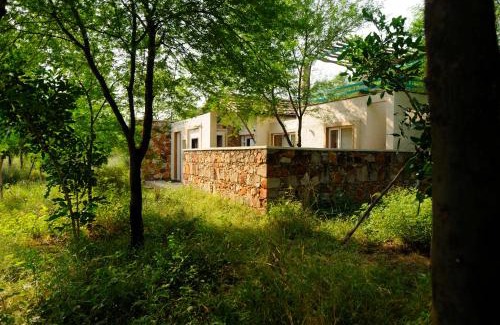 Alwar Resort | Trees N Tigers Luxury Wildlife Lodge