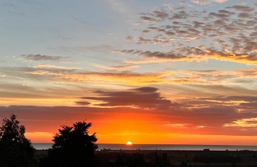 Tuamarina Apartment | Treetops