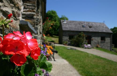 Tremain House | Troedyrhiw Holiday Cottages