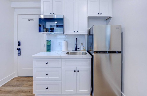 Galveston Apartment | Tropical Jungle Studio