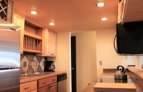 Crested Butte Condo | True ski-in/out! Newly renovated, pet-friendly 2BR condo