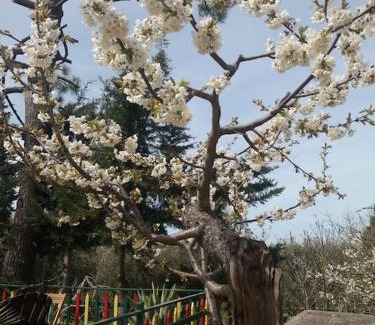 Lamie di Olimpia Apartment | Trulli di Mastro Ciccio
