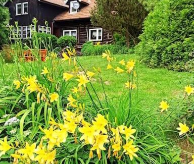 Skrzyszow House | Trzemcha