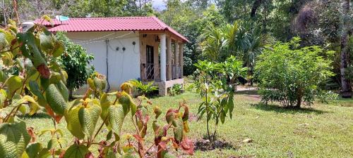 Lacanja Apartment | Tu Casa en la Selva Lacandona