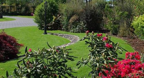 Turangi Bed & Breakfast | Tui Lodge