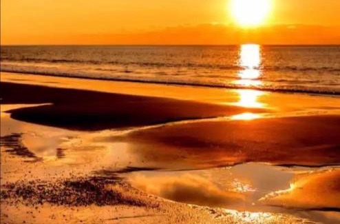 Al Hadd House | Turtle Guest House