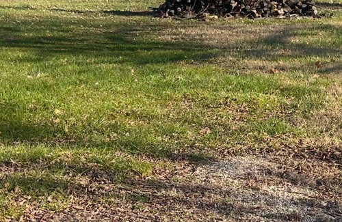 Fall River RV Rental | Two 50 ampRV hookups, developed specifically for deer, pheasant , quail hunters.