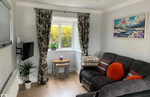 Carlow House | Two Bedroom Town House Beside The River Barrow